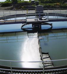 Primary Clarifier