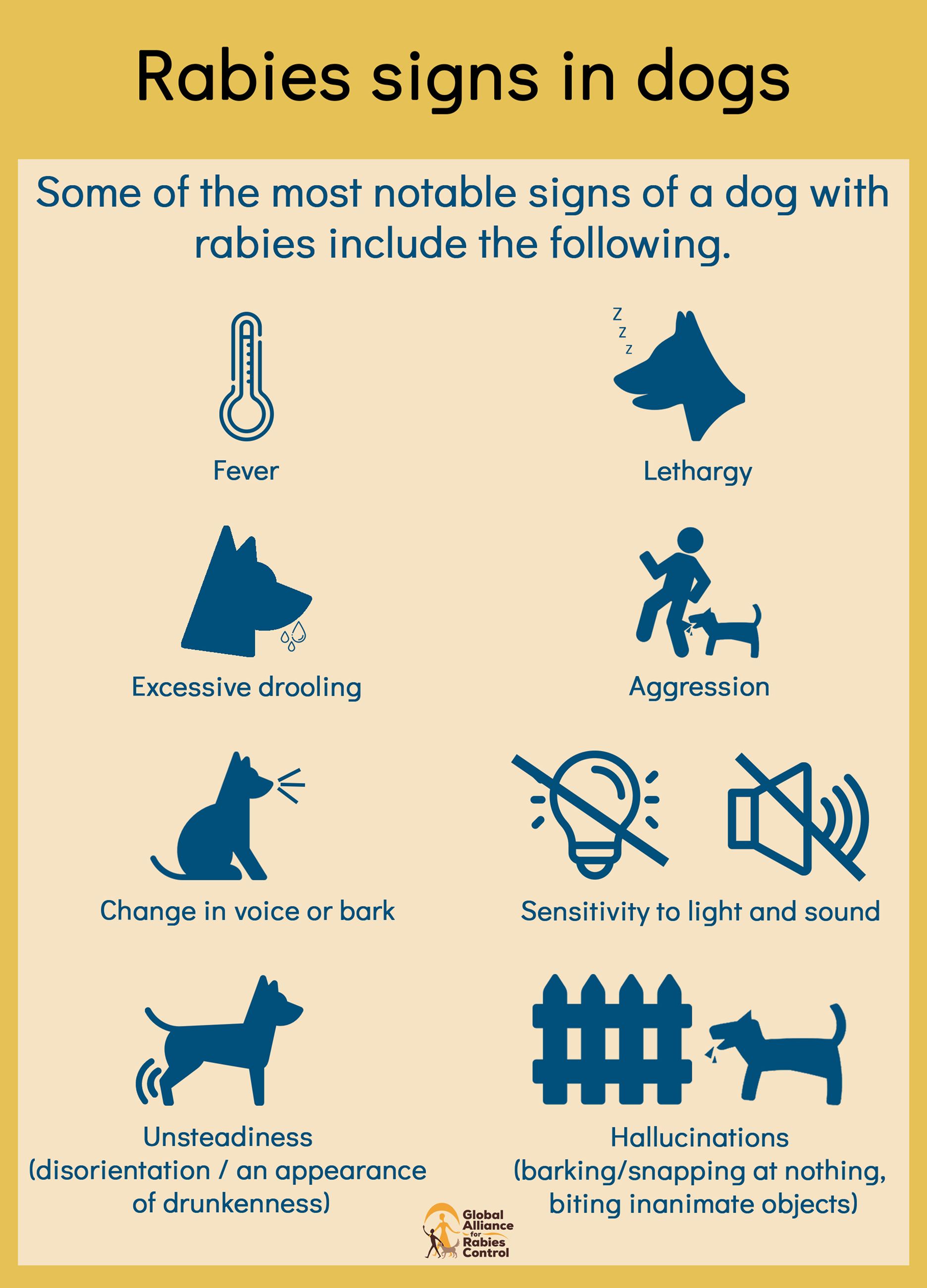 rabies-signs-dogs-infographic